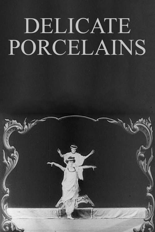 Key visual of Delicate Porcelains