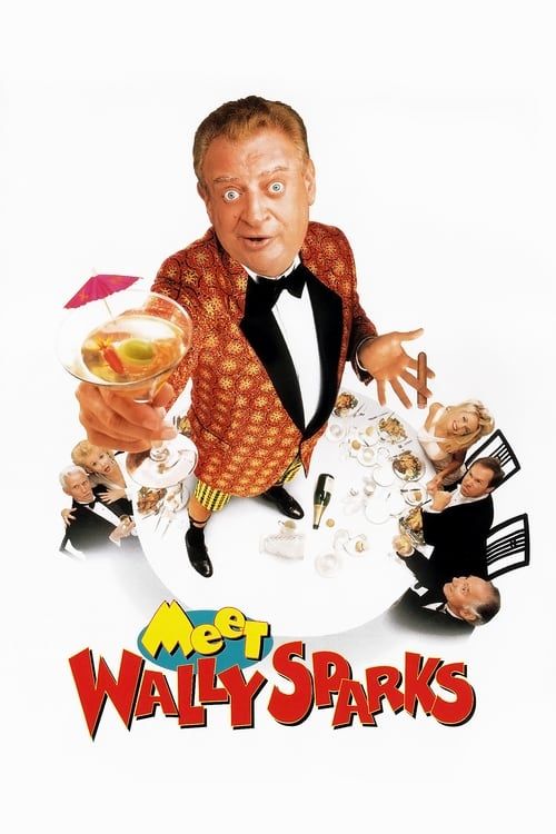 Key visual of Meet Wally Sparks