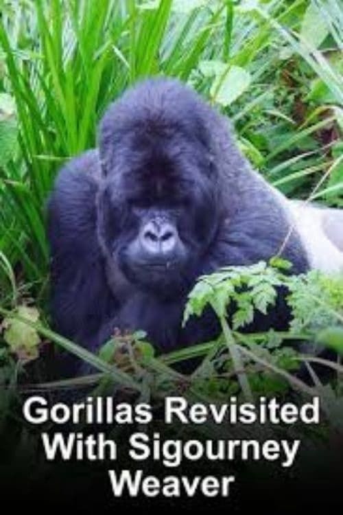 Key visual of Gorillas Revisited with Sigourney Weaver