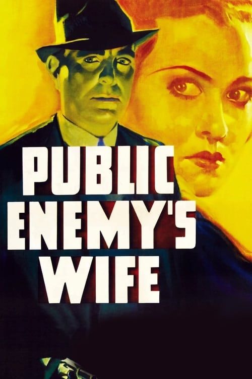 Key visual of Public Enemy's Wife