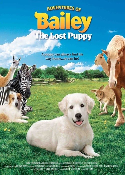 Key visual of Adventures of Bailey: The Lost Puppy