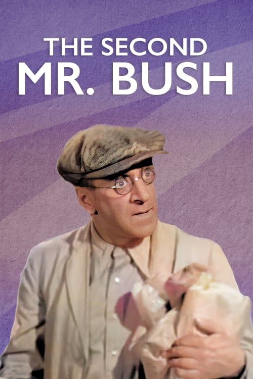 Key visual of The Second Mr. Bush