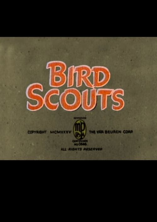 Key visual of Bird Scouts