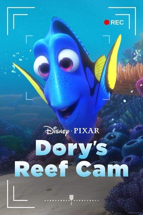 Key visual of Dory's Reef Cam