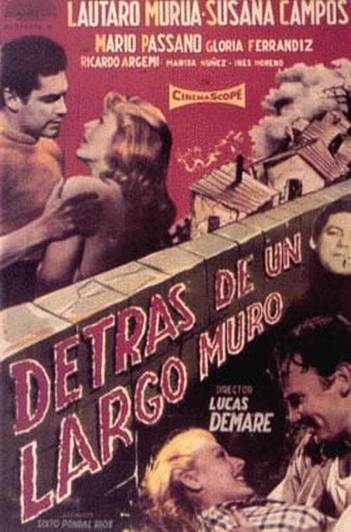 Key visual of Detrás de un largo muro