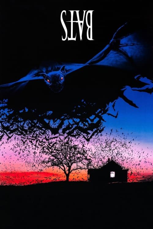 Key visual of Bats