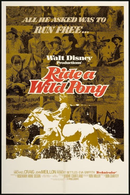 Key visual of Ride a Wild Pony