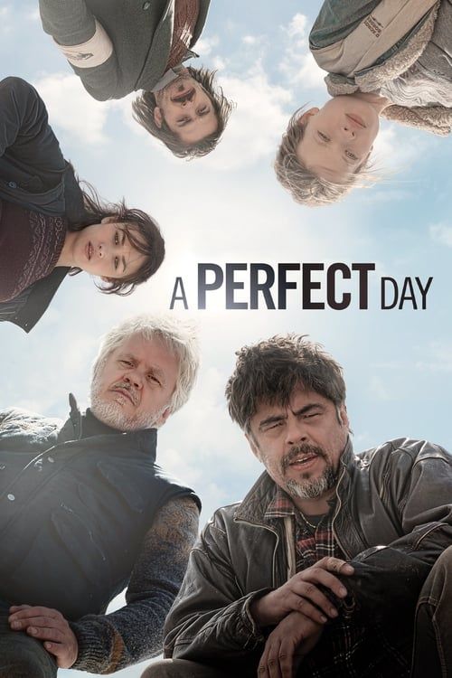 Key visual of A Perfect Day