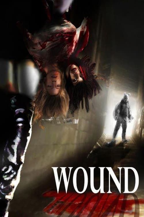Key visual of Wound