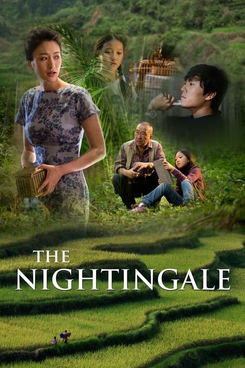 Key visual of The Nightingale