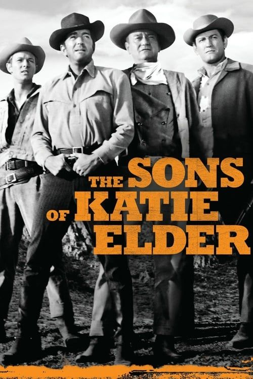 Key visual of The Sons of Katie Elder