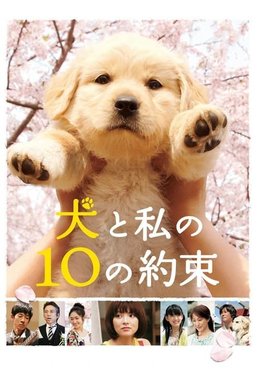 Key visual of 10 Promises to My Dog