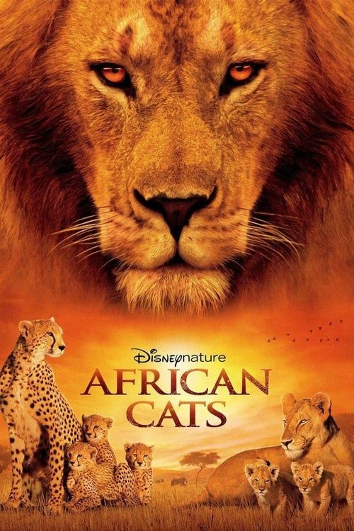 Key visual of African Cats