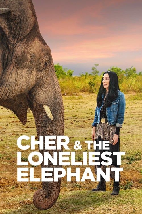 Key visual of Cher & the Loneliest Elephant