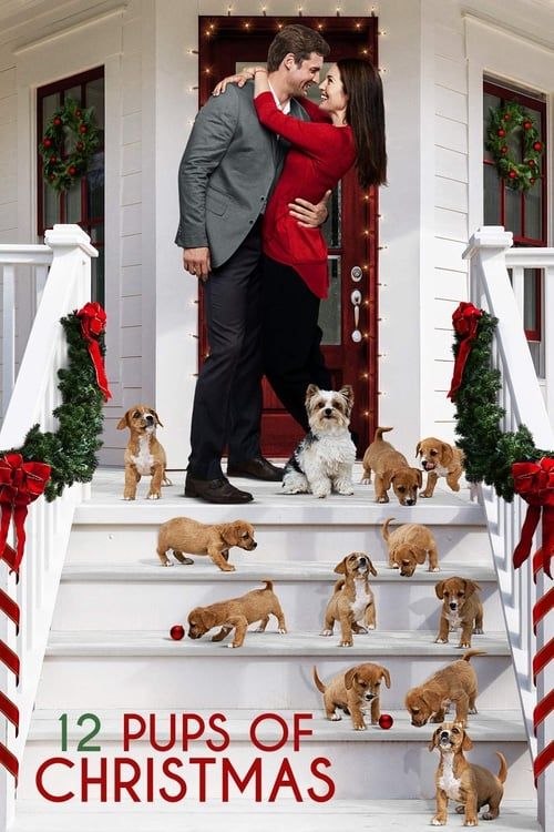 Key visual of 12 Pups of Christmas