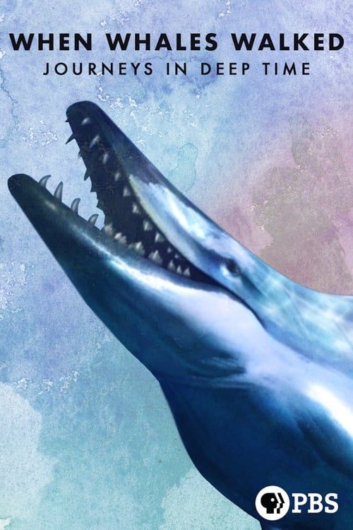Key visual of When Whales Walked: Journeys in Deep Time