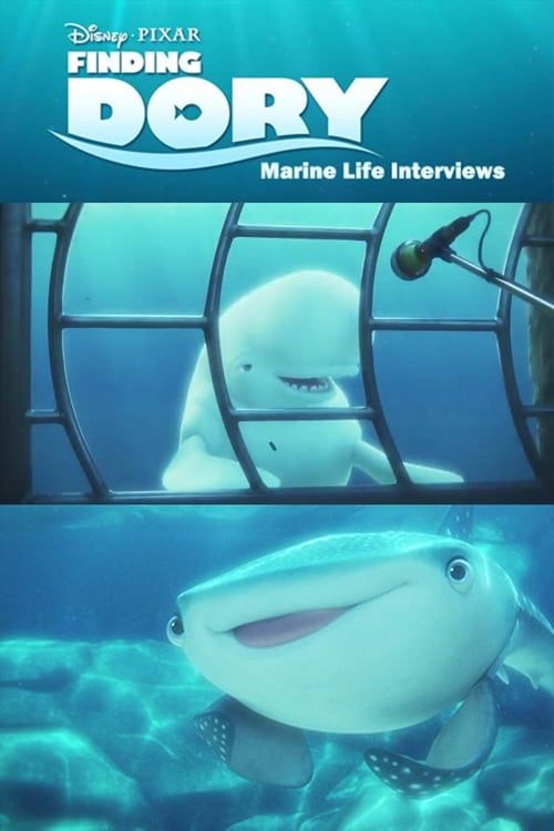 Key visual of Marine Life Interviews