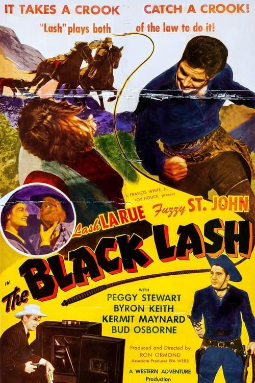 Key visual of The Black Lash