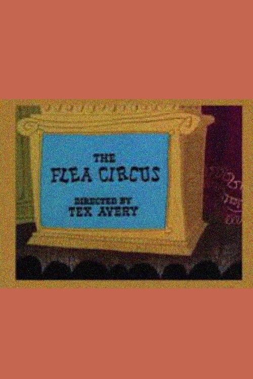 Key visual of The Flea Circus