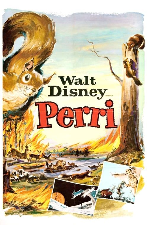 Key visual of Perri