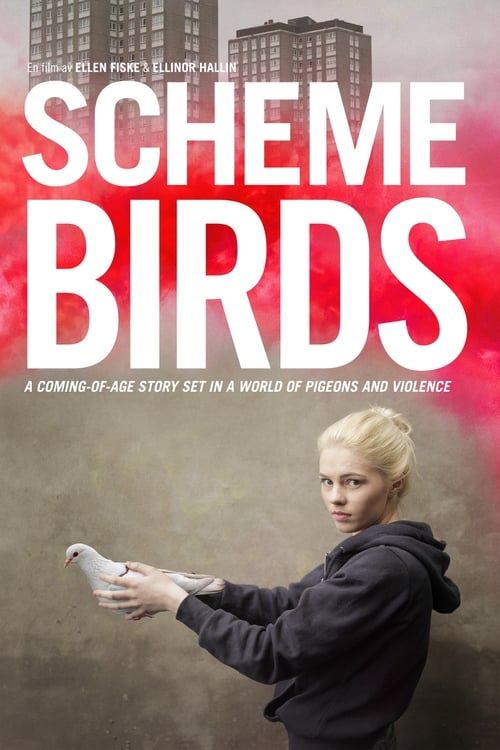 Key visual of Scheme Birds