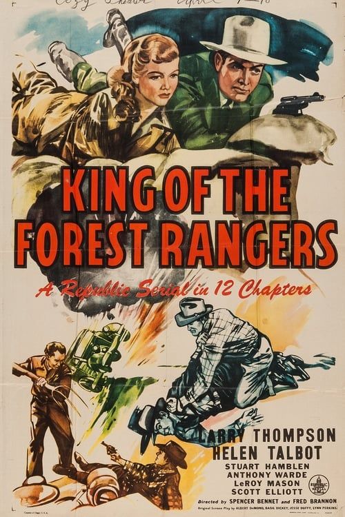Key visual of King of the Forest Rangers