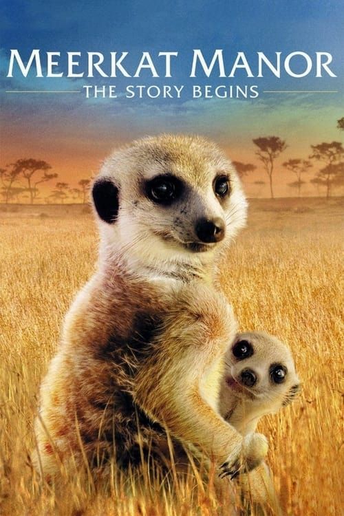 Key visual of Meerkat Manor: The Story Begins