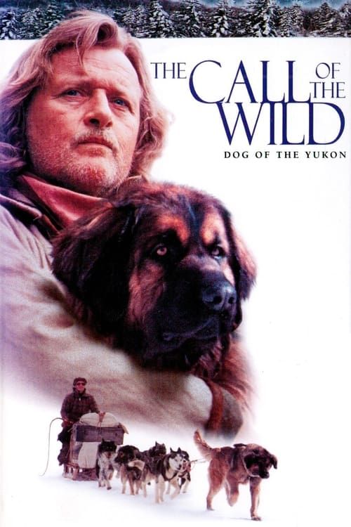 Key visual of The Call of the Wild: Dog of the Yukon