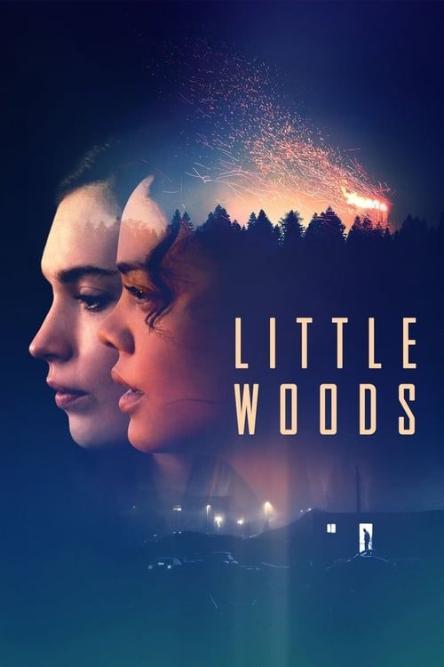 Key visual of Little Woods