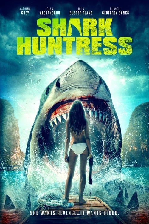 Key visual of Shark Huntress