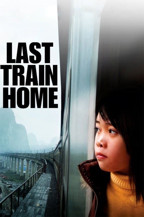 Key visual of Last Train Home