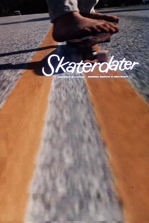 Key visual of Skaterdater