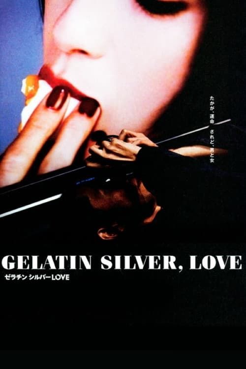 Key visual of Gelatin Silver, Love