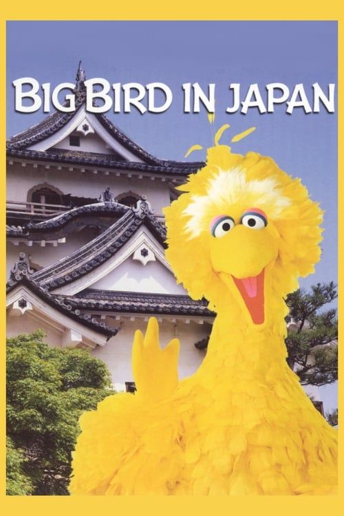 Key visual of Big Bird in Japan