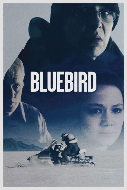 Key visual of Bluebird