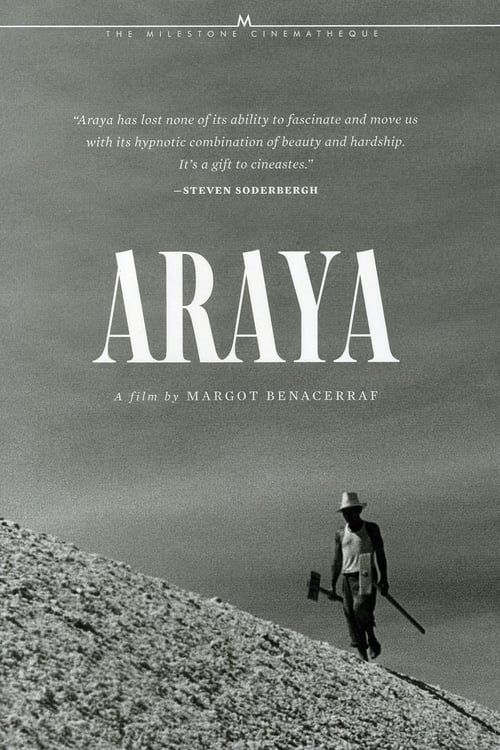 Key visual of Araya