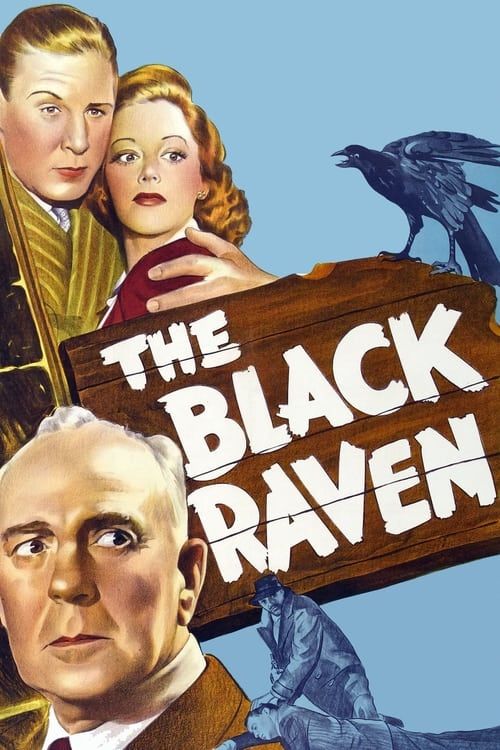 Key visual of Black Raven