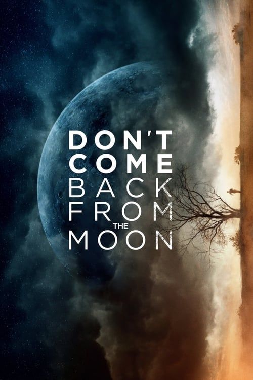 Key visual of Don't Come Back from the Moon