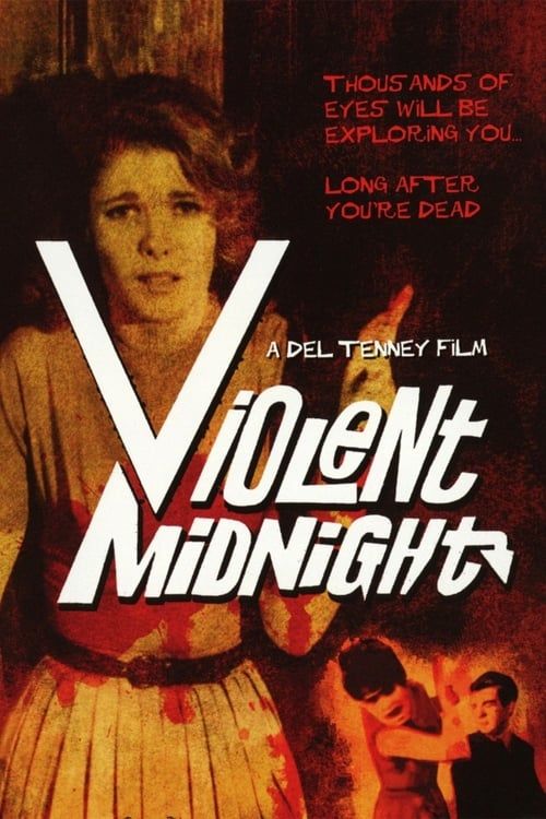 Key visual of Violent Midnight