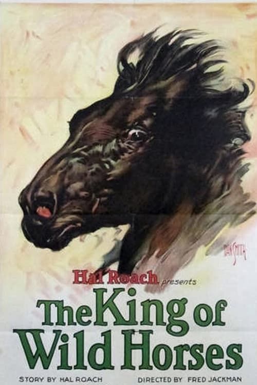 Key visual of The King of the Wild Horses