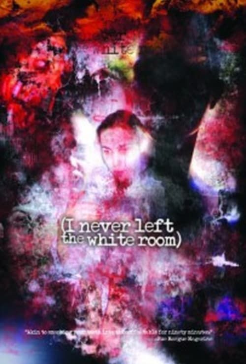 Key visual of I Never Left the White Room