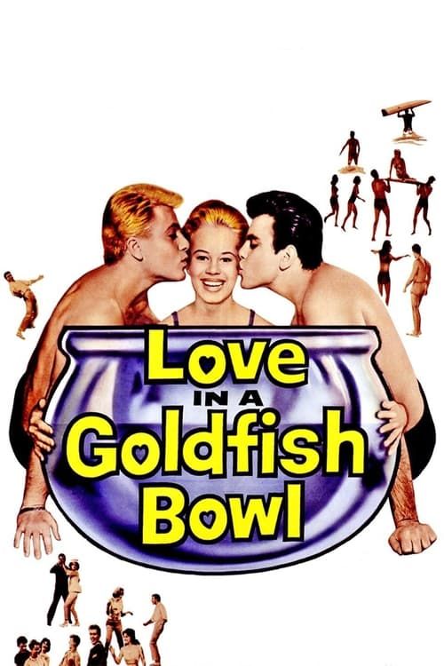 Key visual of Love in a Goldfish Bowl