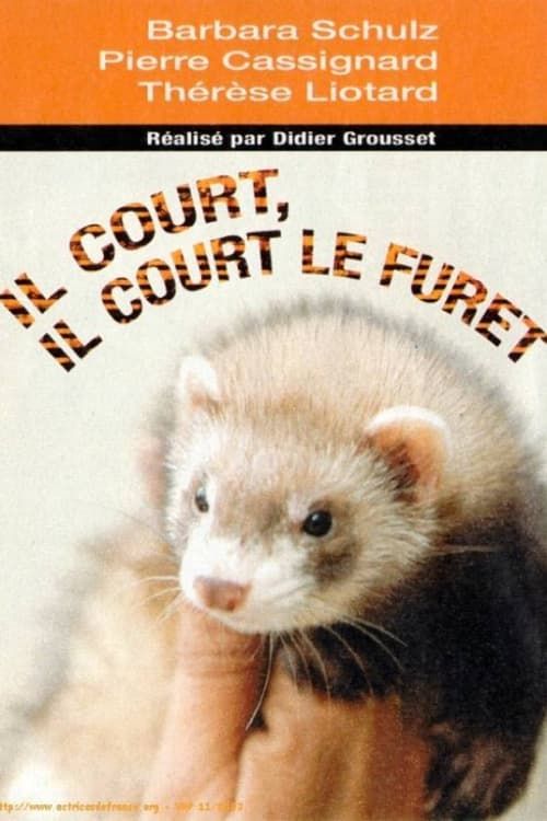 Key visual of Il court, il court, le furet...