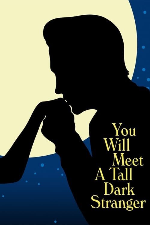 Key visual of You Will Meet a Tall Dark Stranger