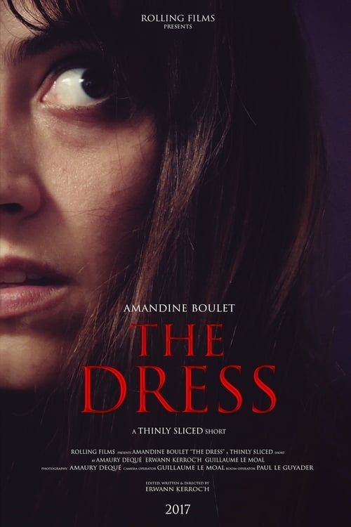 Key visual of The Dress