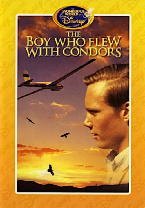 Key visual of The Boy Who Flew with Condors