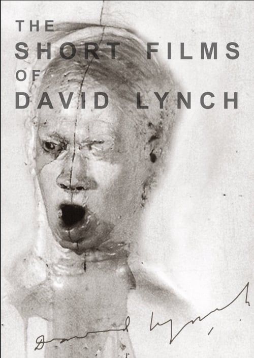 Key visual of The Short Films of David Lynch