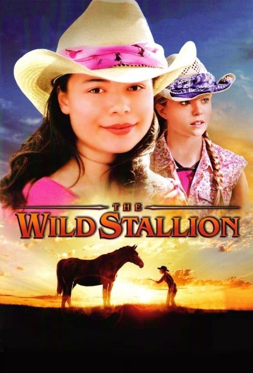 Key visual of The Wild Stallion