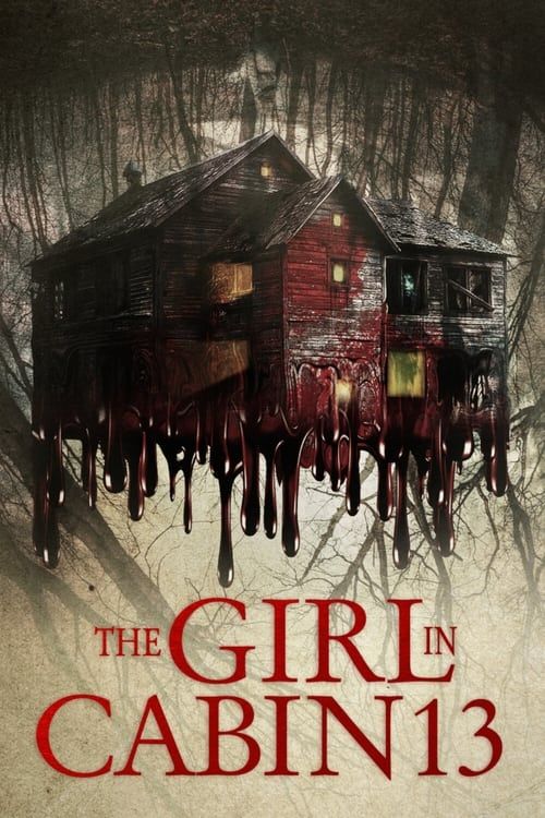 Key visual of The Girl in Cabin 13