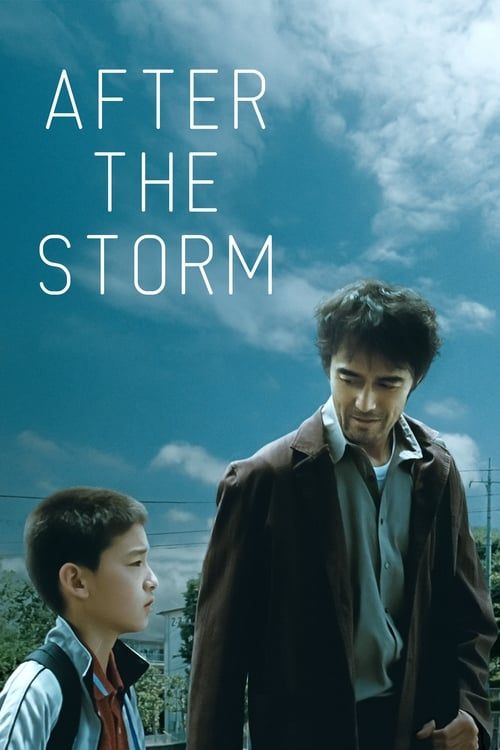 Key visual of After the Storm